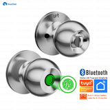 Smart Fingerprint Lock Door Entry